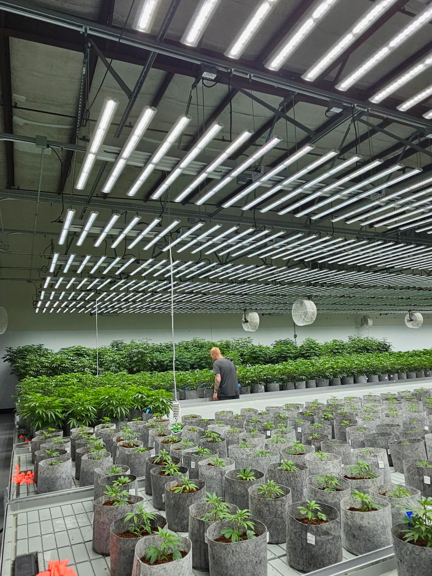Commercial indoor cultivation facility